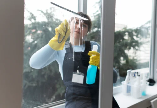 Nettoyage de vitres intérieures et extérieures à Brognon